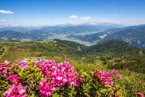 CHALET MONTIS