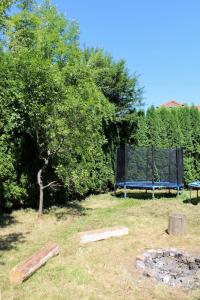 Dřevěnice u Azzyho