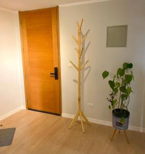 Hermoso y moderno departamento a pasos del lago