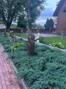 Mieszkanie - Apartament