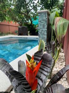 Villa JADE, La Fortuna Downtown