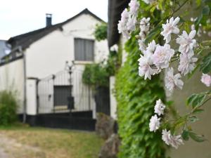 Maisons de vacances Jardins Fleuries : photos des chambres