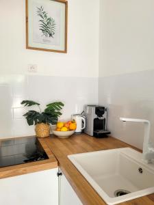 Appartements Studio double climatise avec terrasse - Proche Tram & Centre : photos des chambres
