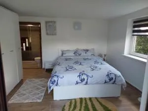 Cabană cu teren de tenis -- parter - Băniţa