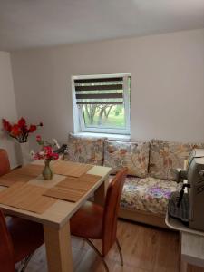 Cabană cu teren de tenis -- parter