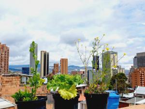 Hermoso apartamento en la mejor zona de Bogotá