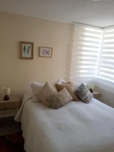 Chillan Centro - Ninhue