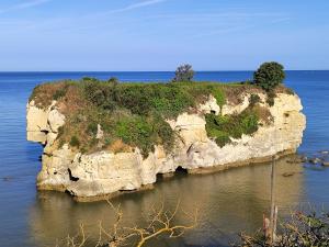 Maisons de vacances Detente : photos des chambres