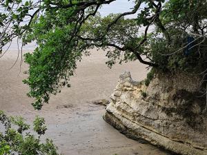 Maisons de vacances Detente : photos des chambres