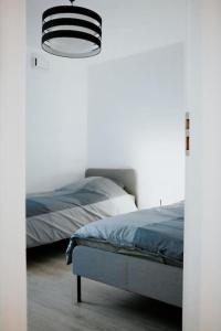 Appartements Spacieux Appart T3+terrasse : photos des chambres