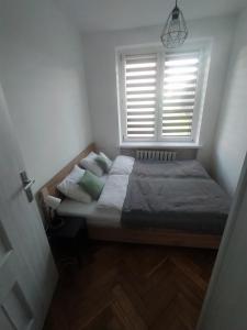 Apartamenty Amelia