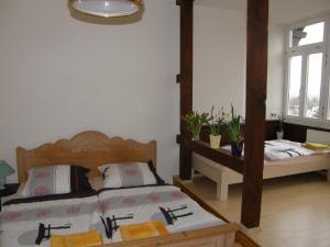 Villa Bellevue Dresden