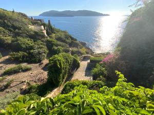VILLA MANDRAGORE Ile du Levant