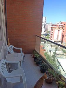 Lovely new apartment near the historic center.