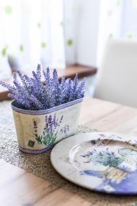 Barackvirág Apartmanház