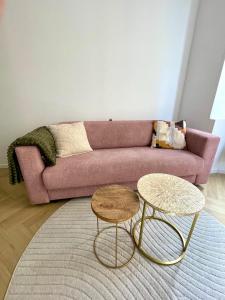 Appartement de charme - Hypercentre Gros Horloge