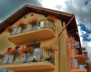 3 star pension Casa Rad Sînmartin Roemenië