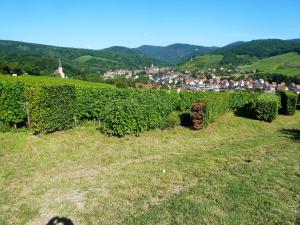 Appartement cosy à Bernardvillé 60 m² avec jardin vue montagne