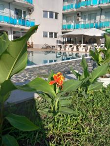 Hotel Sunset Beach