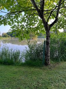 Maisons de vacances Maison avec plan d'eau ( peche no kill ) : photos des chambres