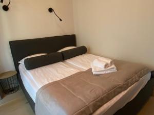 Pervalka Apartaments With Large Terrace