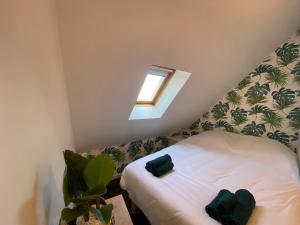 Appartements Sous les tropiques d’Ablis : photos des chambres