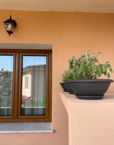 Olbios Apartment img52