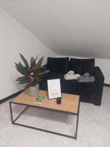 POKOJE JURAJSKI ZAKAMAREK