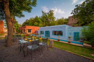 Tree Of Life Bhadrajun House, Jodhpur