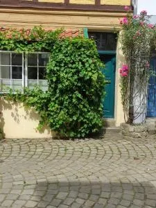 Altstadtnest - 阿登多夫