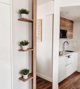 Emerald Palm Residence