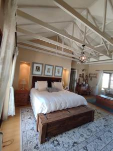 5 BEDROOM CAPE TOWN FAMILY HOME PET FRIENDLY