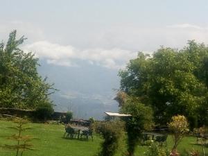 Eco Lodge Chevron