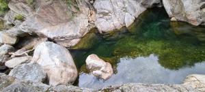 Sejours chez l'habitant Villa Les Martinets-Piscine-Jacuzzi-Voie Verte-Gorges d'Heric-Massif du Caroux Mons Olargues 34600 : photos des chambres