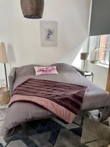 Le Terrazzo - appartement lumineux centre Eu