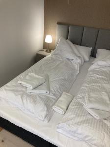 Eliza Apartament z tarasem