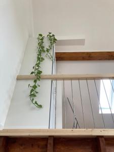 Ferienwohnung Petrimühle