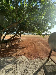 Maisons de vacances Gites dans Domaine des Barrettes : photos des chambres