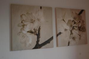 Le Ville Le Saline img70