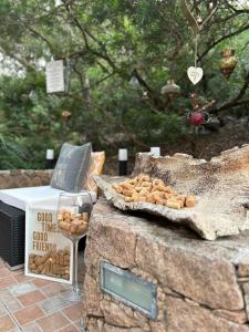 Sardinian Seaside Retreats img128