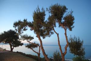 Sea View Apollo Apartments & Studios in Afytos Halkidiki Greece