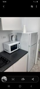 Tudor studio Mamaia Sat