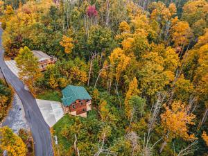 Modern Mountain Cabin! Hot Tub! Near Downtown!