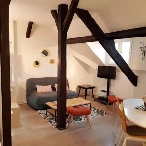 PLEIN CENTRE TRES GRAND STUDIO - Louvières