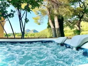 Entre vignes et horizon Appartement avec jacuzzi privatif et piscine commune chauffée - Sablet