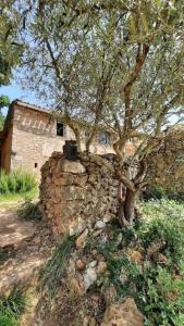 Sejours a la campagne La Chevaliere Sauvage : photos des chambres