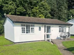 Bumble Bee Lodge - Saint Cleer