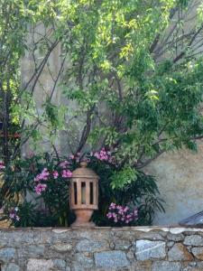 Appartements Arena Bianca : photos des chambres