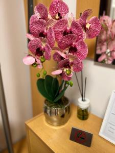 CRISTAL Apartament Calea Bucuresti