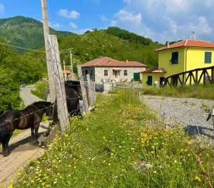 Colle del Faggio Nature Home - Campore